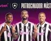 OL. Il Botafogo de Textor firma il più grande contratto di sponsorizzazione della sua storia