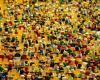 la più grande esposizione di Lego nel sud della Francia