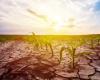 Carenza idrica e cambiamento climatico: il nuovo piano di battaglia del Ministero dell’Agricoltura