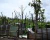 Tempesta Dikeledi: Mayotte in pre-allerta ciclone