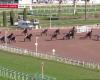 Quinté+: PRIX DE LA COTE D’AZUR – CAGNES-SUR-MER – 01/09/2025: corridori, pronostici e risultati in video – Gara 1