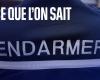 cosa sappiamo della morte di un jogger di 77 anni, il cui corpo è stato ritrovato in una foresta vicino ad Auxerre