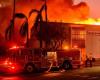 LIVE – Incendi a Los Angeles: almeno 10 morti, secondo un nuovo report