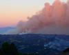 Il Papa addolorato per gli incendi che hanno devastato Los Angeles