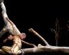 “Pour Hêtre”, spettacolo di danza e circo in trio a Lavelanet-Culture