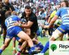 l’assurdità ecologica del rugby europeo