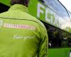 Grave incidente con Flixbus in Germania: almeno due morti