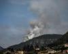 Come si sono rigenerate le foreste del massiccio della Colle Noire dopo un devastante incendio