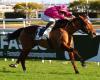 13/01 a Cagnes-sur-Mer – Premio Albert Taton: Arrow Eagle in vigore