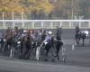 Il pronostico della Quinte de Paris-Vincennes di martedì 14 gennaio 2025 di Jack Vautrin