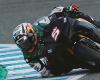 Johann Zarco e gli altri…