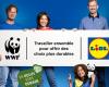 In collaborazione con il WWF, Lidl riafferma il suo impegno a…