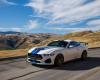 Shelby GT350, ritorno di una leggenda